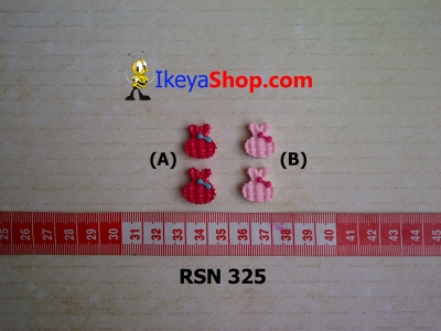 rsn 325  large2
